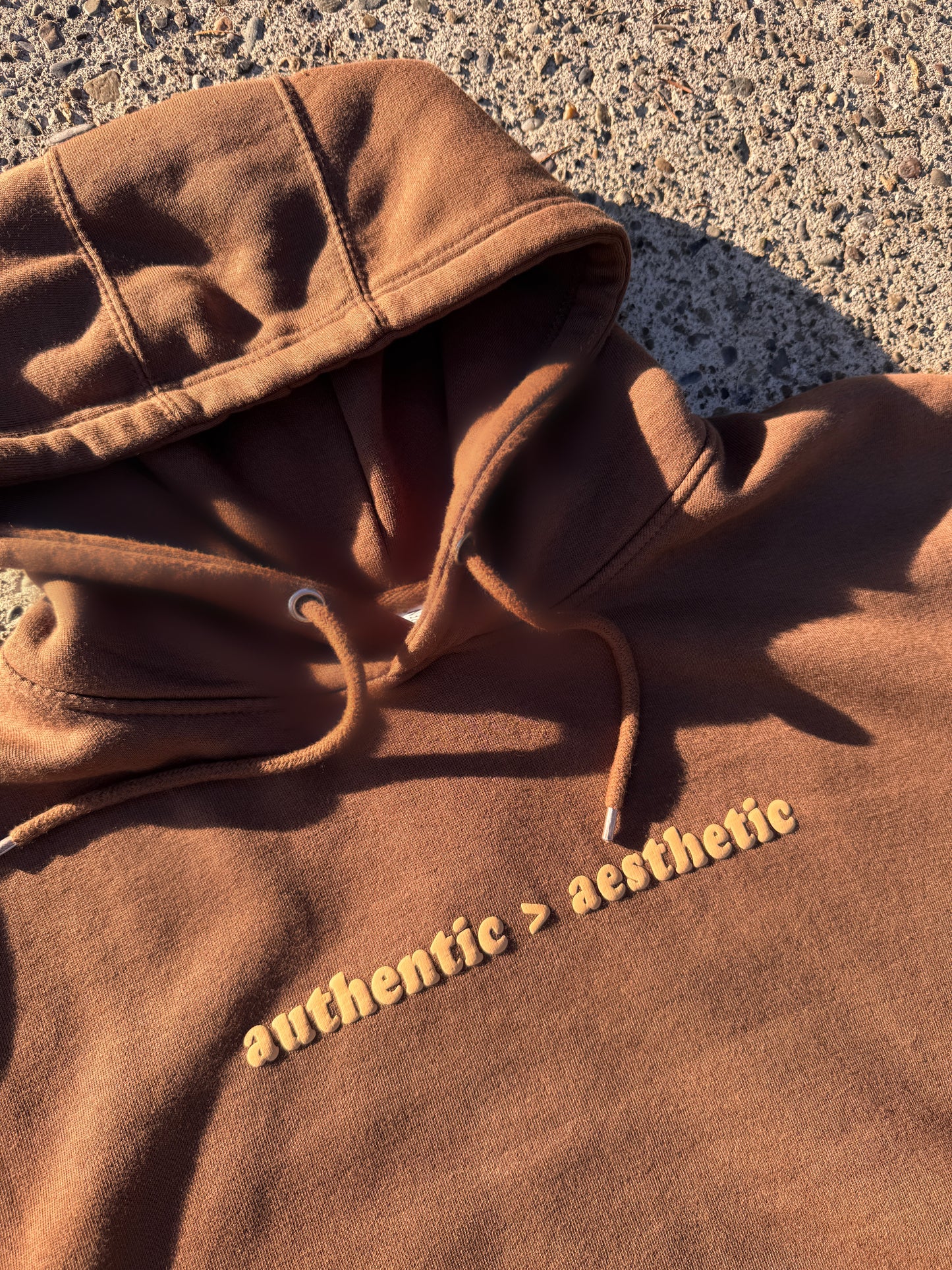 authentic > aesthetic hoodie